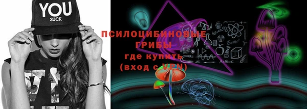 СК Киреевск