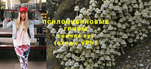 СК Киреевск